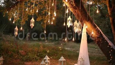 装饰古董爱迪生风格的灯丝灯泡挂在树林里，玻璃灯笼，灯装饰花园在